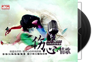 伤心情歌·对唱.百度下载第1张