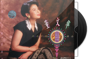 董文华音乐专辑33CD合集/百度盘