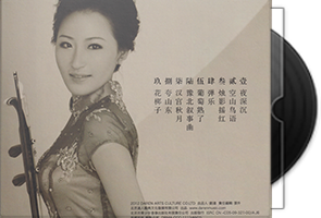 达人艺典·王一婧《胡琴随想》BSCD