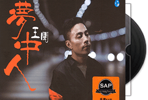 王闻 梦中人·专辑SAP