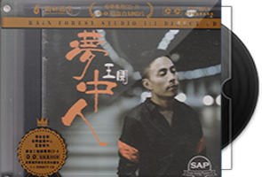 王闻《梦中人》限量1：1黄金母盘直刻