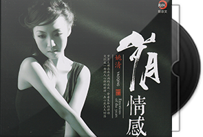 姚清《岁月情感》新京文
