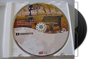 闽南群星《台语畅销歌曲排行榜》8CD合集/百度盘