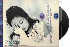 芝麻龙眼组合+王默君14张20CD合集/百度盘