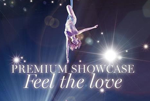 滨崎步2014日本巡回演唱会-蓝光原盘38.2G