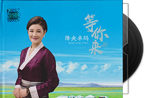 降央卓玛《等你来》黑胶
