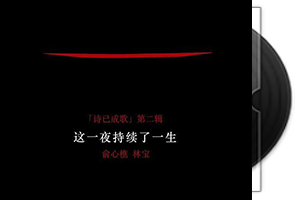 林宝-这一夜持续了一生第1张