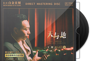 王闻《男人四十Ⅵ·天与地》头版限量1：1母盘直刻