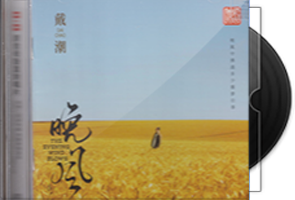 戴潮《晚风》头版限量1：1母盘直刻