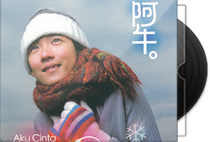 阿牛音乐专辑16张18CD合集/百度盘